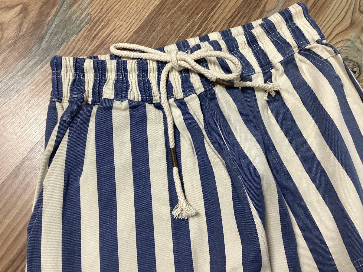Blue Striped Twill Pants