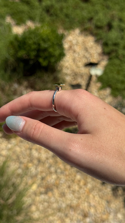 Star Moon Fidget Ring