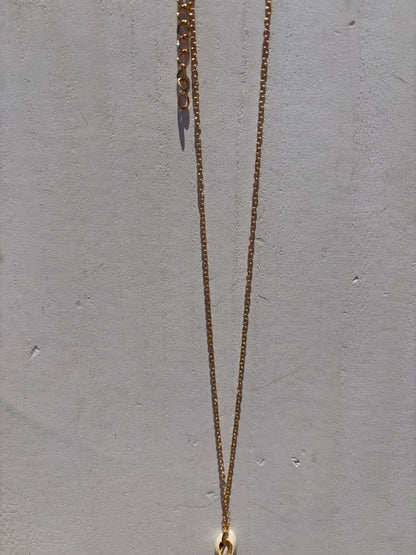 Single Seashell Gold Chain Necklace