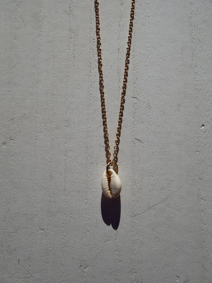 Single Seashell Gold Chain Necklace