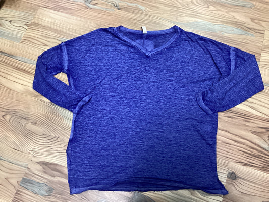 Blue Burnout V Neck Long Sleeve